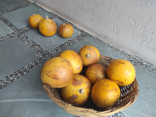 BELPAN FRUIT- POWDER
