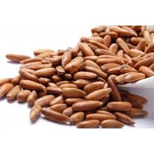 PINE NUT/CHILGOZA